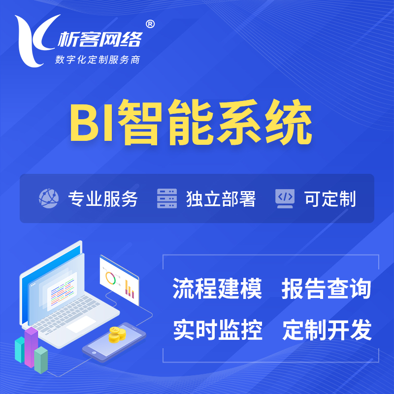 郴州BI智能系统 | BI数据可视化